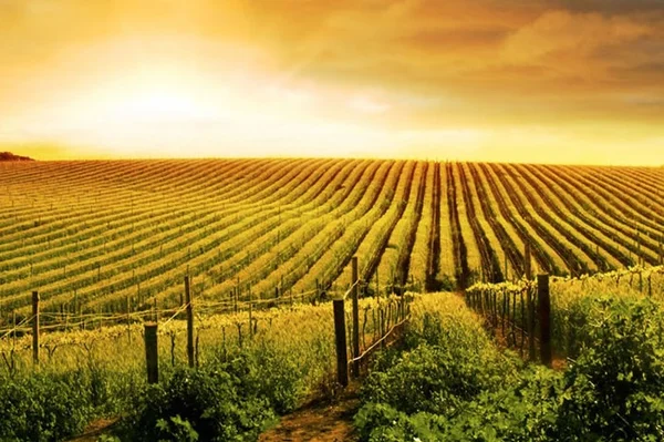 Hot-Hed® Habitat® Seguridad ATEX